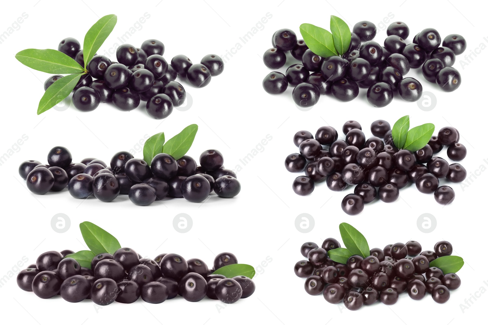 Image of Set of acai berries with green leaves isolated on white