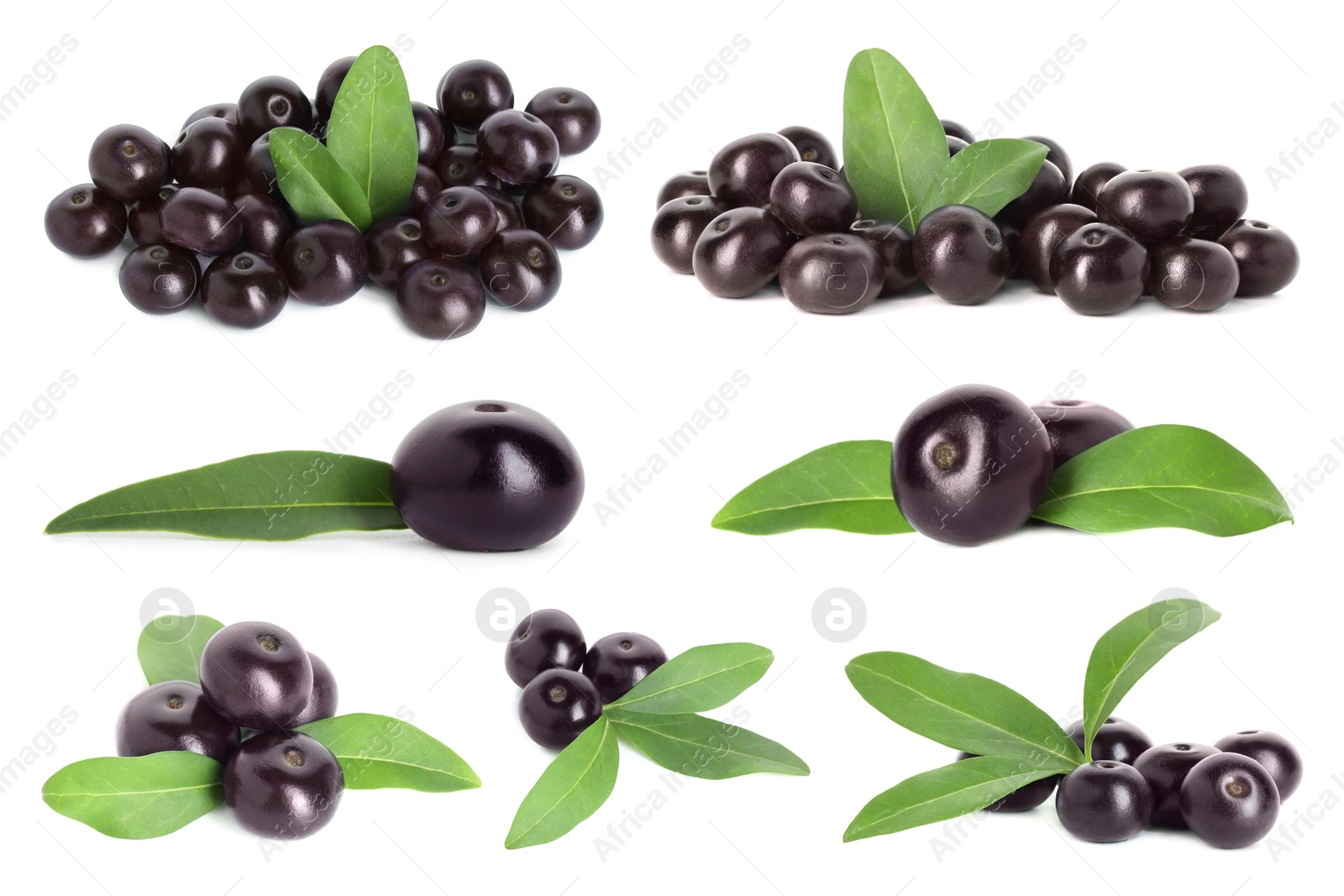 Image of Set of acai berries with green leaves isolated on white