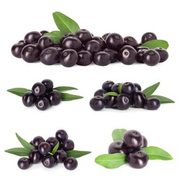 Image of Set of acai berries with green leaves isolated on white