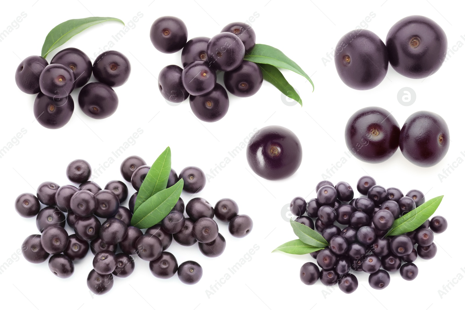 Image of Set of acai berries with green leaves isolated on white