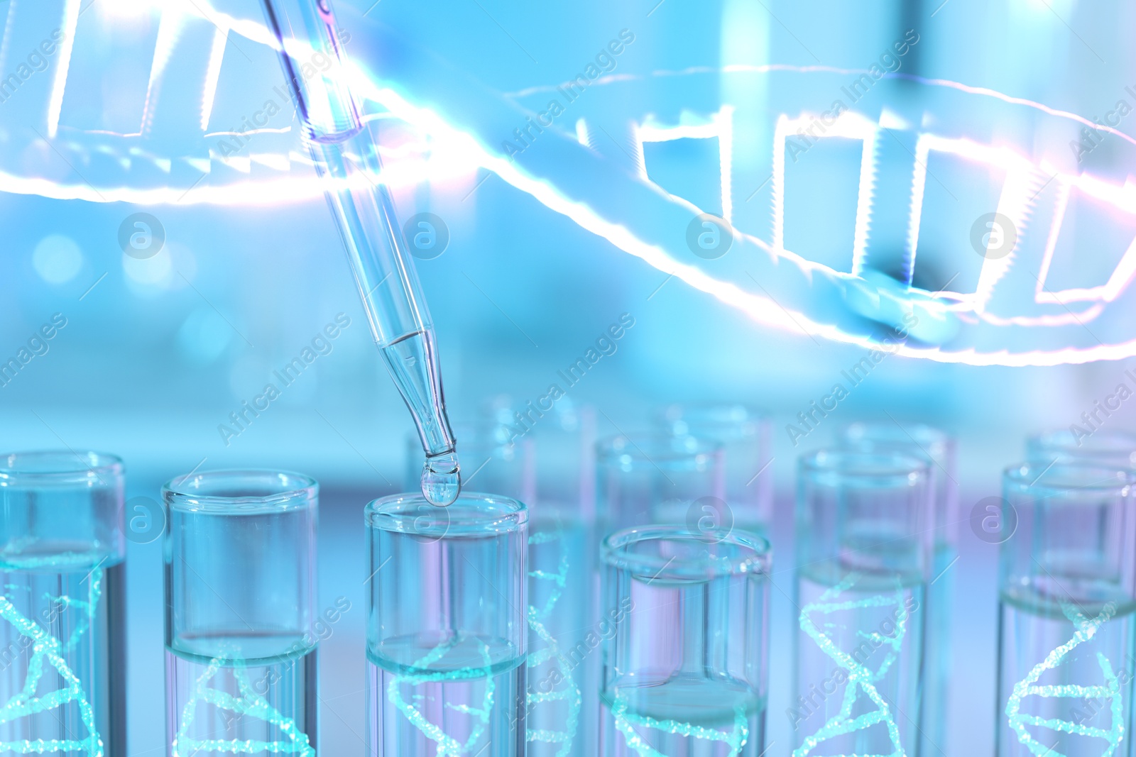 Image of Illustrations of DNA and test tubes with samples, double exposure