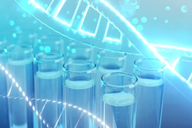 Image of Illustrations of DNA and test tubes with samples, double exposure