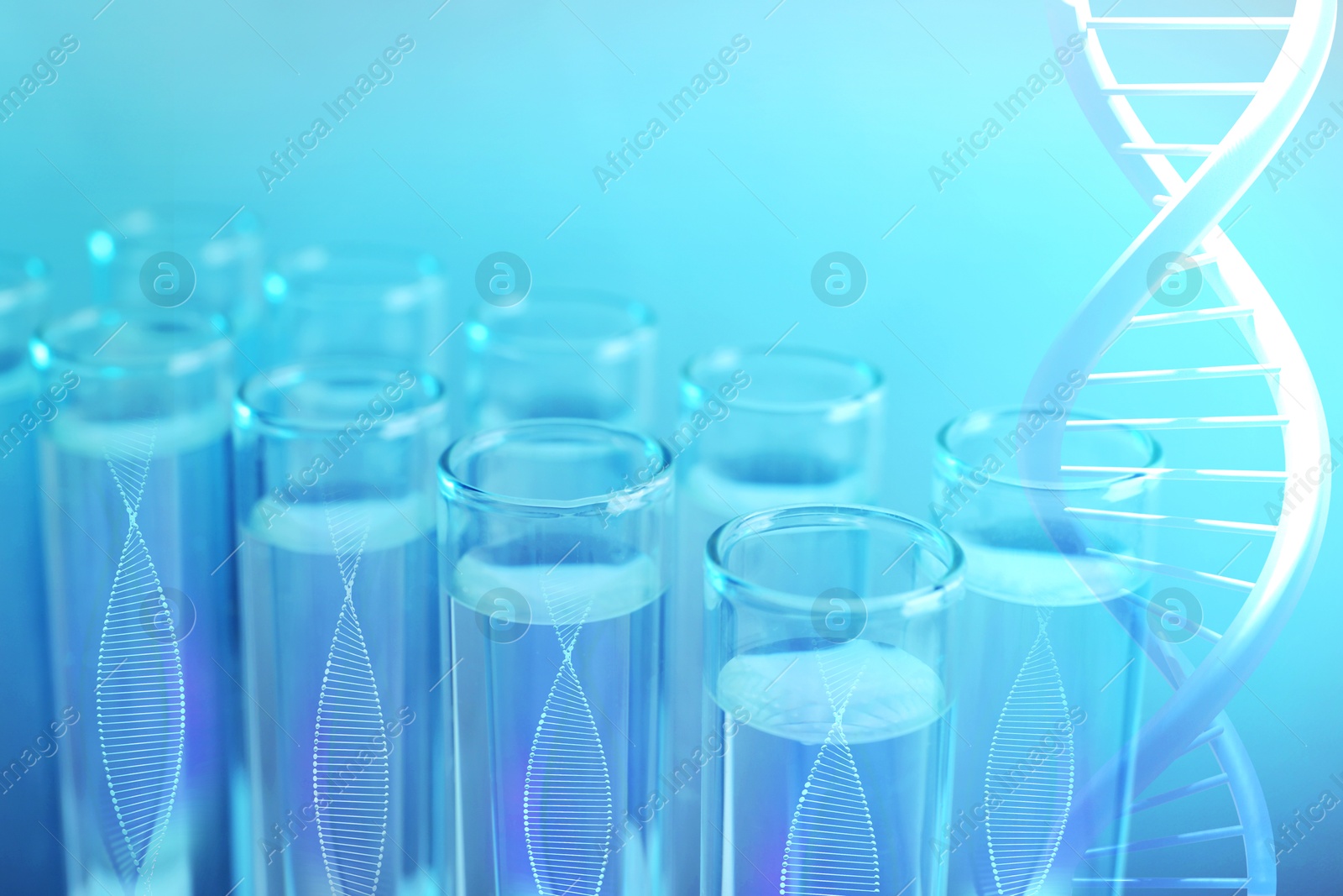 Image of Illustrations of DNA and test tubes with samples, double exposure