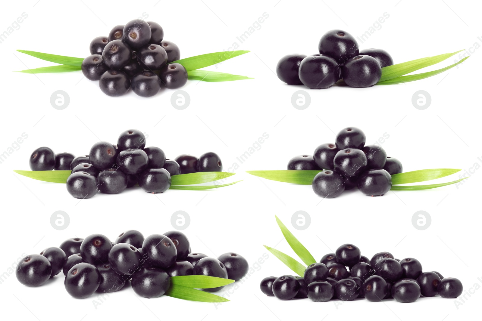 Image of Set of acai berries with green leaves isolated on white