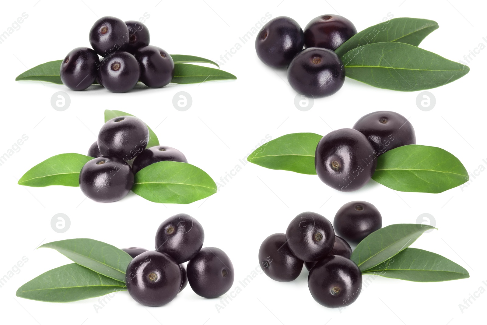 Image of Set of acai berries with green leaves isolated on white