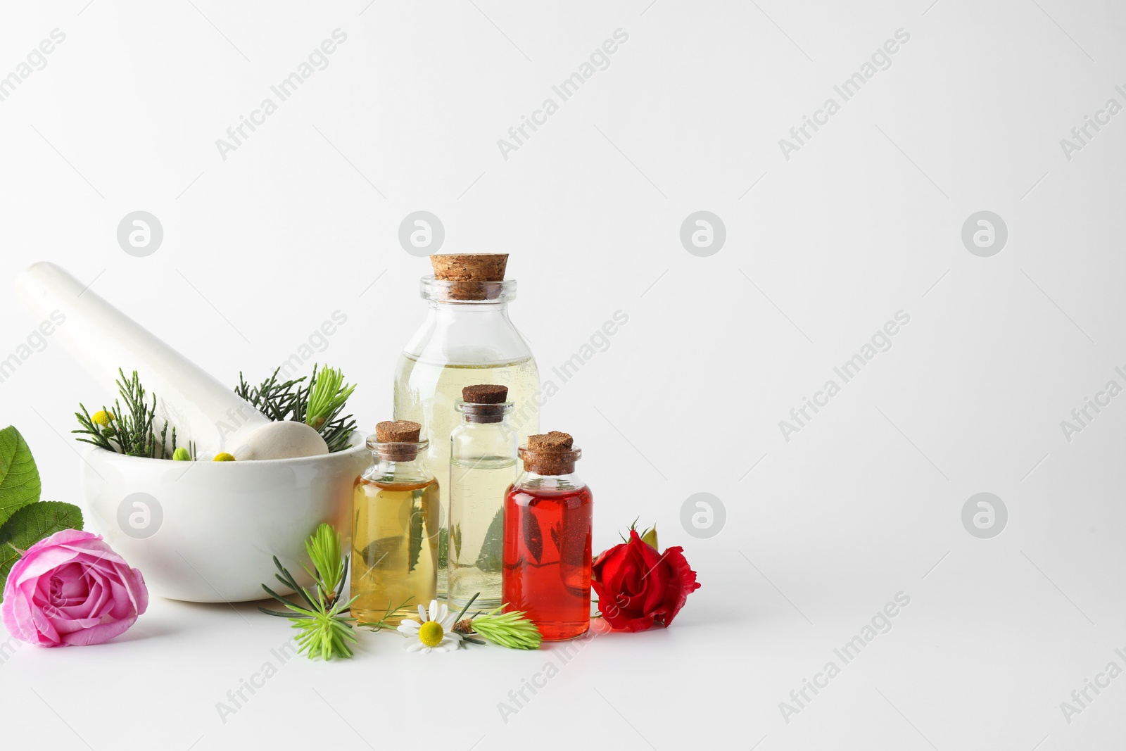 Photo of Aromatherapy. Different essential oils, flowers, mortar, pestle and fir twigs on white background, space for text