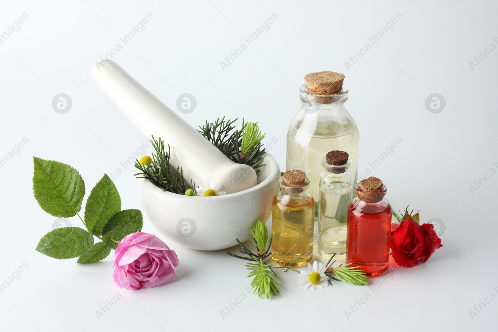 Photo of Aromatherapy. Different essential oils, flowers, mortar, pestle and fir twigs on white background