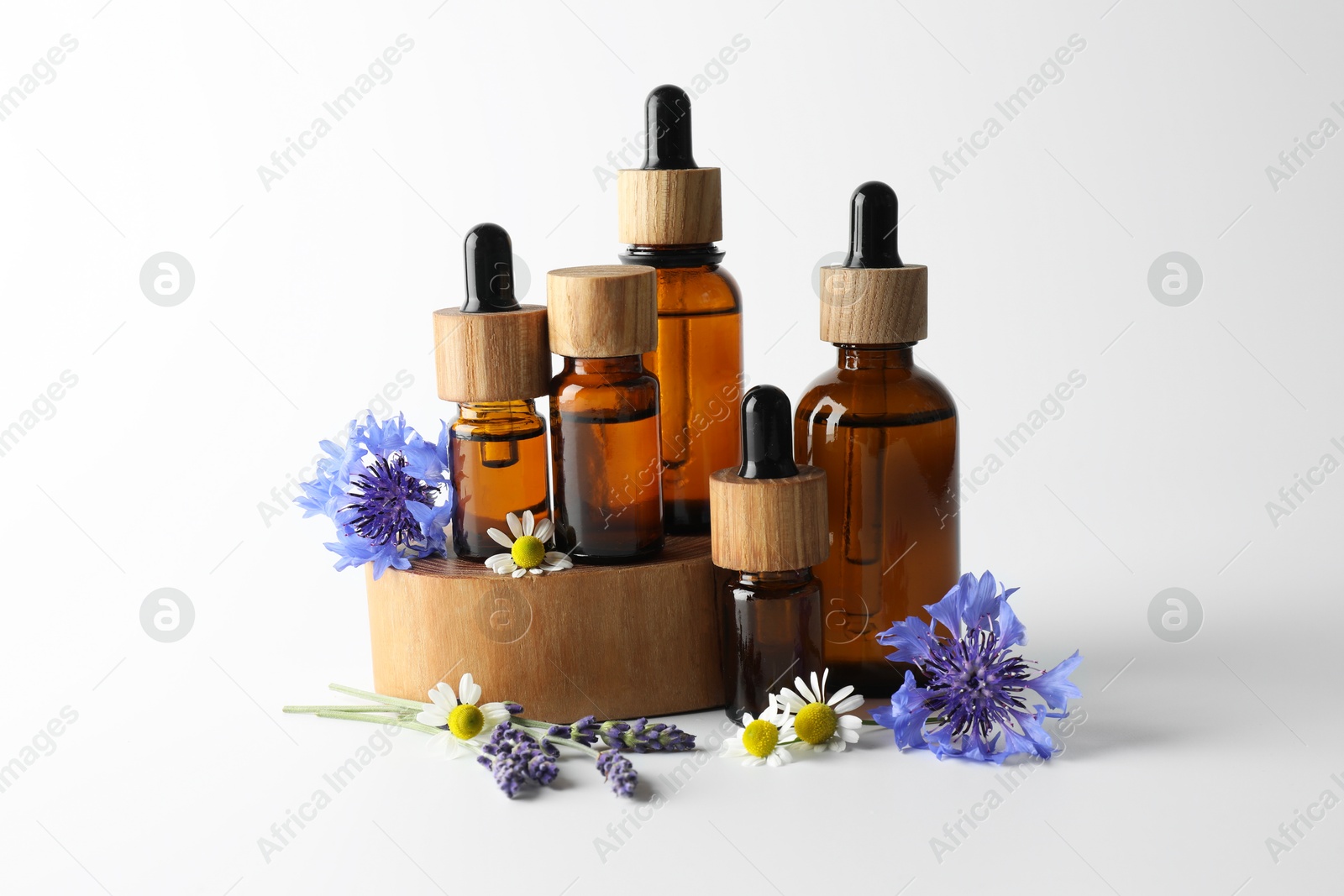 Photo of Aromatherapy. Different essential oils and flowers on white background