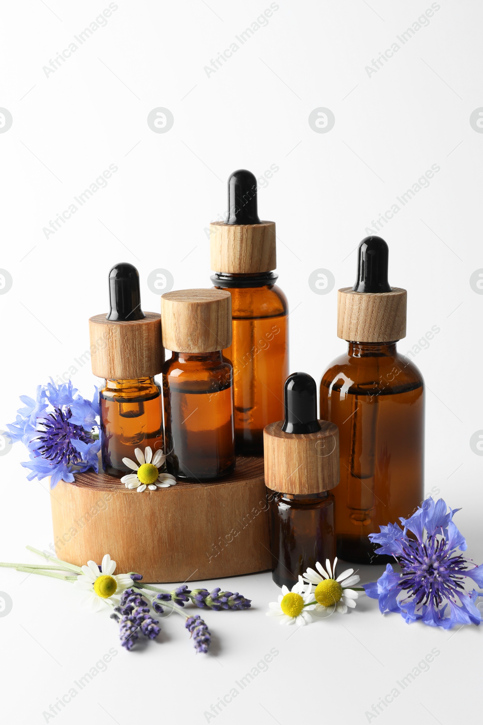 Photo of Aromatherapy. Different essential oils and flowers on white background