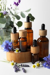 Photo of Aromatherapy. Different essential oils, eucalyptus leaves and flowers on white background