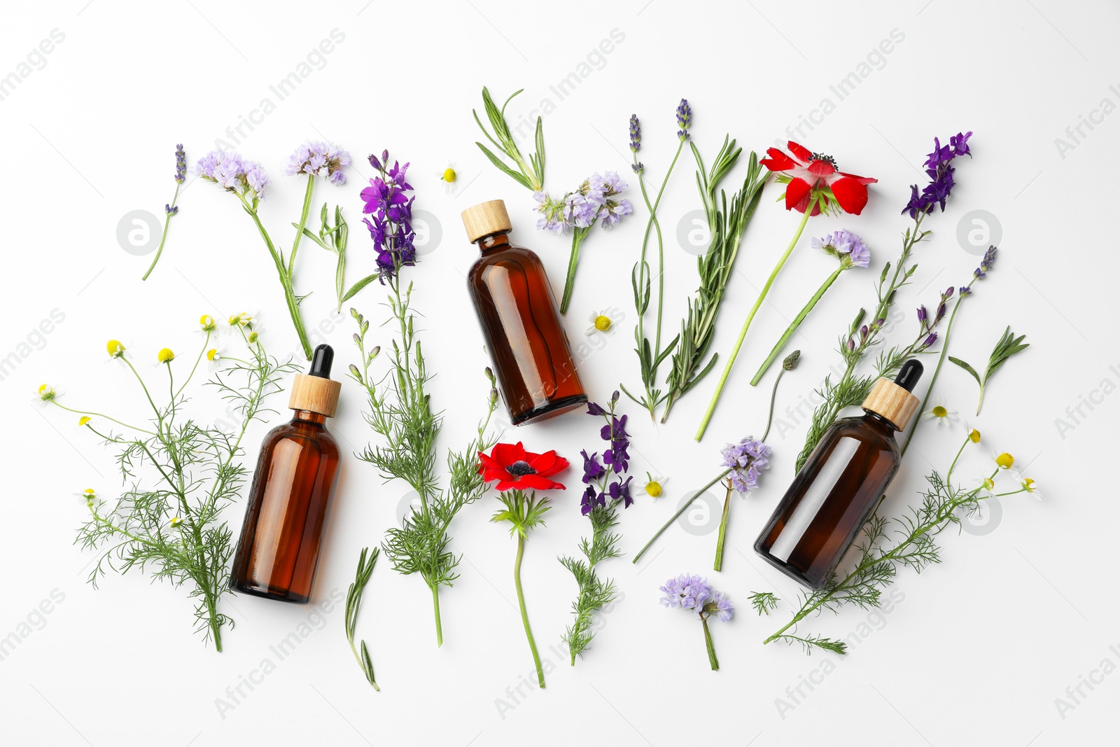 Photo of Aromatherapy. Essential oils, flowers and rosemary on white background, flat lay