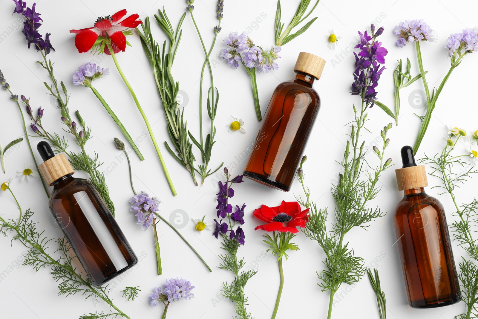 Photo of Aromatherapy. Essential oils, flowers and rosemary on white background, flat lay