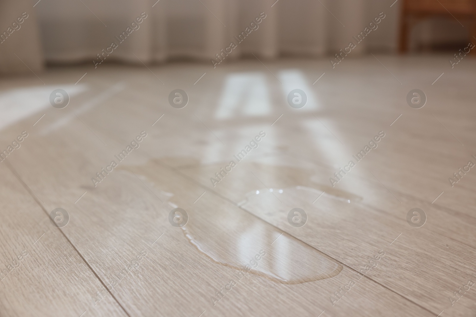 Photo of Puddle of liquid on wooden floor indoors, closeup