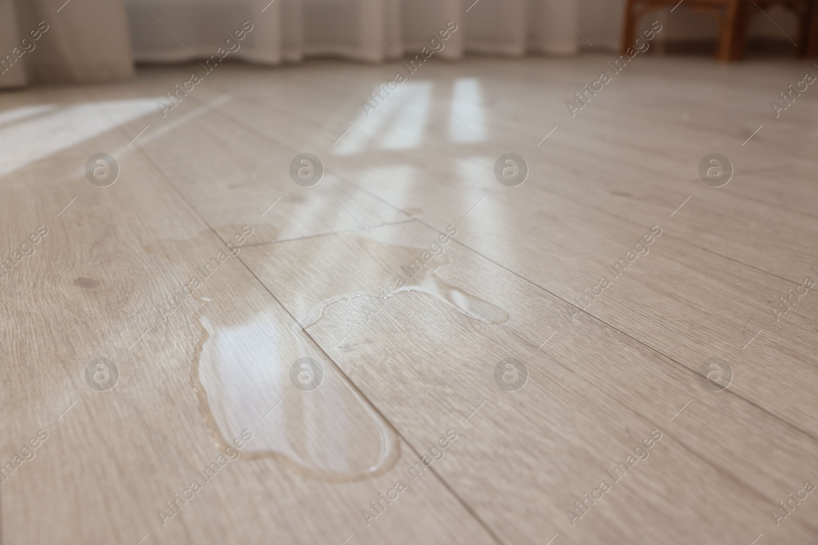 Photo of Puddle of liquid on wooden floor indoors, closeup. Space for text