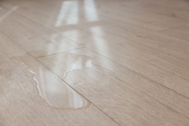 Photo of Puddle of liquid on wooden floor indoors, closeup. Space for text