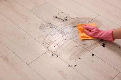 Photo of Woman cleaning dirt on wooden floor, closeup