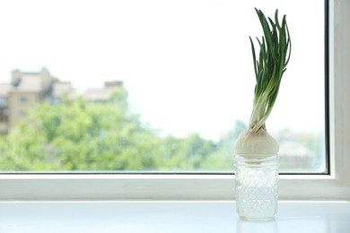 Photo of Sprouted onion in glass with water on window sill. Space for text