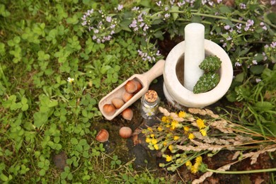 Photo of Different ingredients for tincture, mortar and pestle outdoors, top view