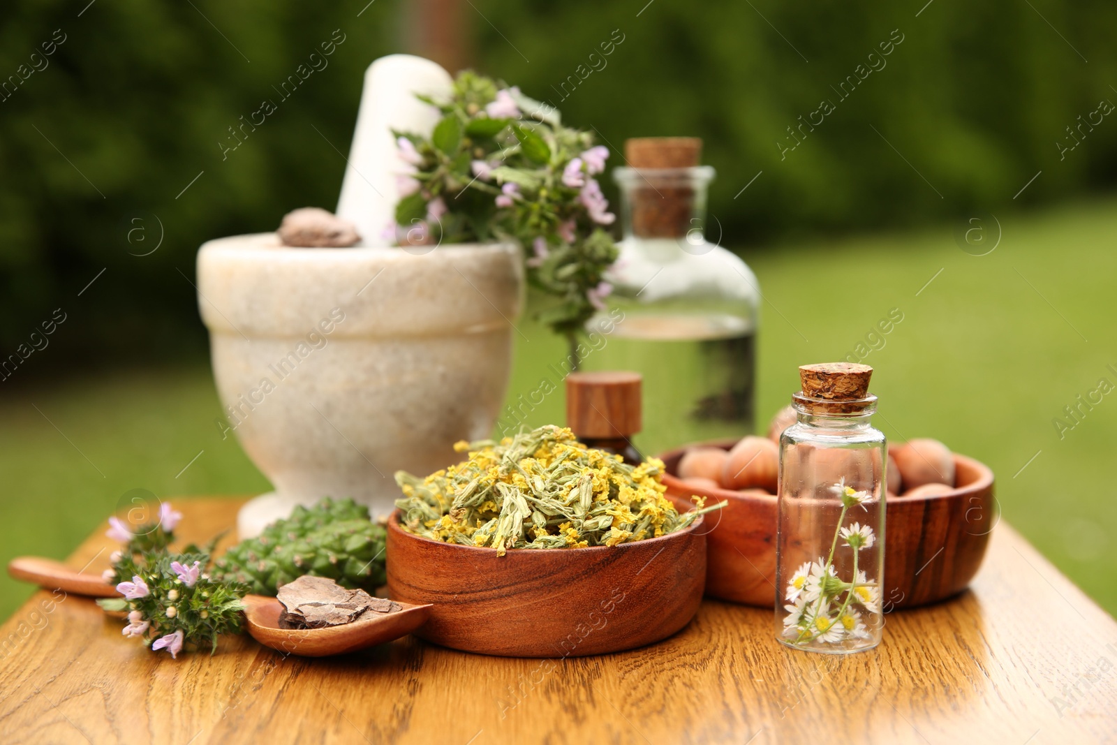 Photo of Different ingredients for tincture, bottles, mortar and pestle on wooden table outdoors