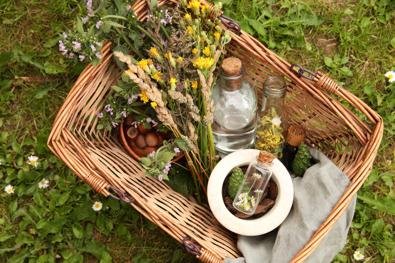 Photo of Tincture and different ingredients in wicker basket outdoors, top view