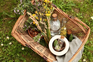 Tincture and different ingredients in wicker basket outdoors, top view