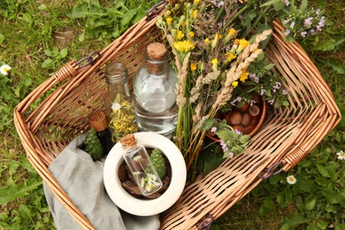 Photo of Tincture and different ingredients in wicker basket outdoors, top view