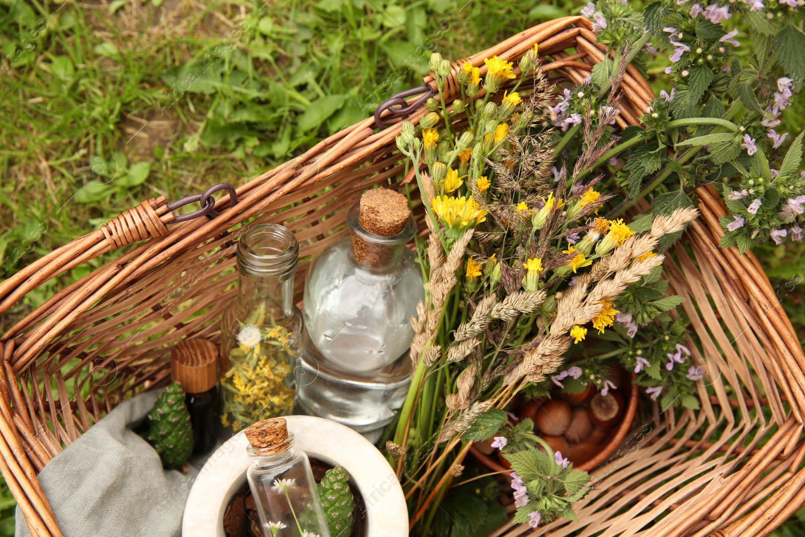 Photo of Tincture and different ingredients in wicker basket outdoors, top view