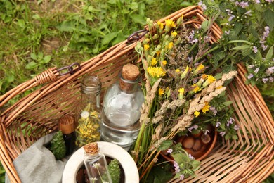 Photo of Tincture and different ingredients in wicker basket outdoors, top view