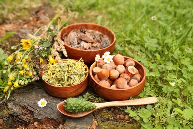 Photo of Ingredients for tincture. Pine cone, bark chips, flowers and hazelnuts outdoors