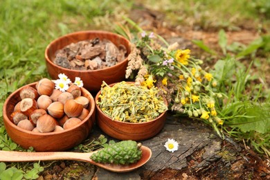 Photo of Ingredients for tincture. Pine cone, bark chips, flowers and hazelnuts outdoors