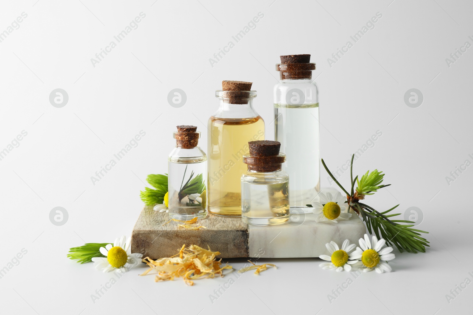 Photo of Aromatherapy. Different essential oils, dry flowers, chamomiles and fir twigs on white background