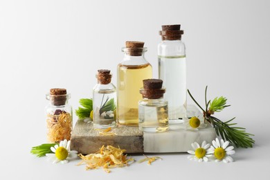 Photo of Aromatherapy. Different essential oils, dry flowers, chamomiles and fir twigs on white background