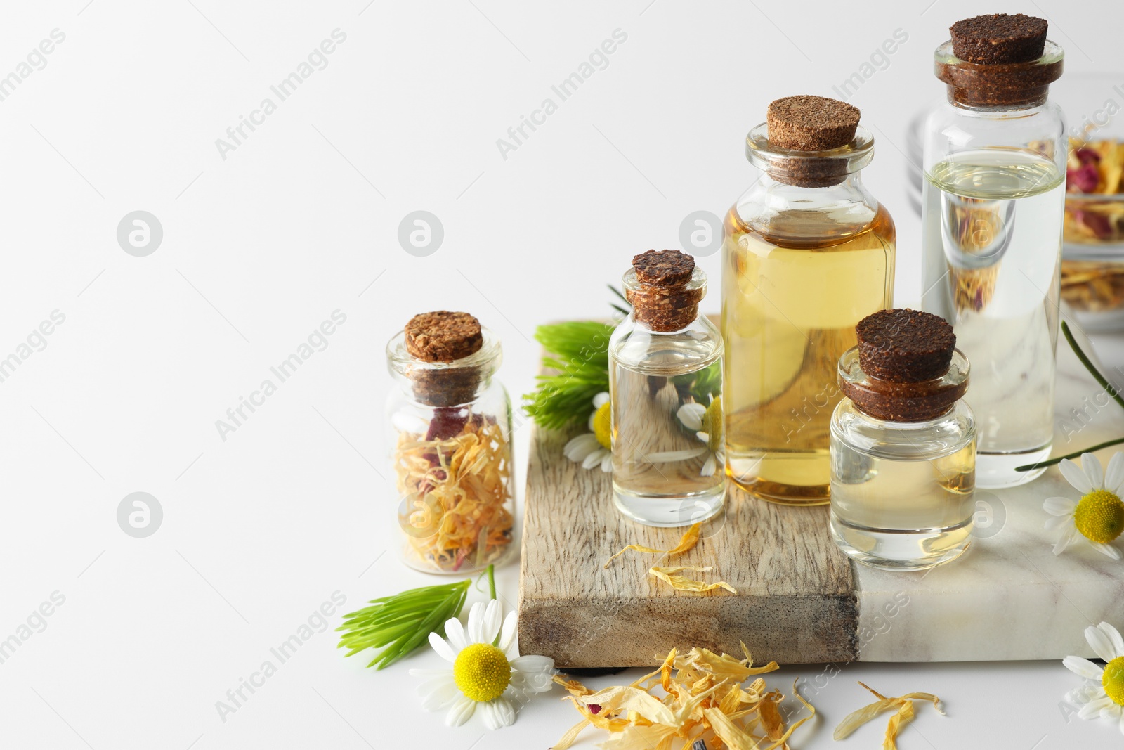 Photo of Aromatherapy. Different essential oils, dry flowers, chamomiles and fir twigs on white background, space for text