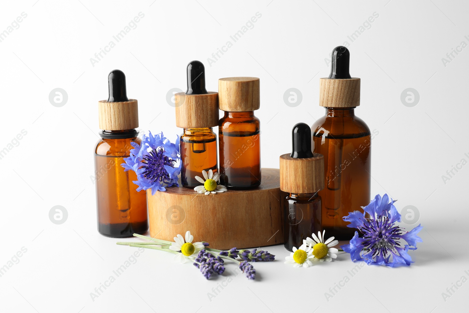 Photo of Aromatherapy. Different essential oils and flowers on white background