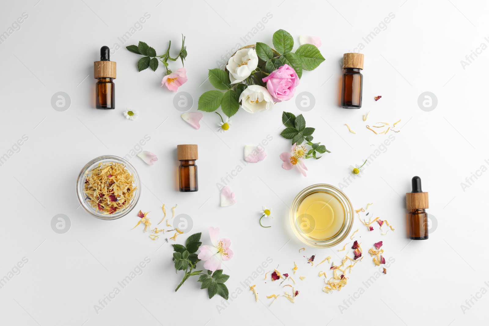 Photo of Aromatherapy. Essential oils, flowers and petals on white background, flat lay