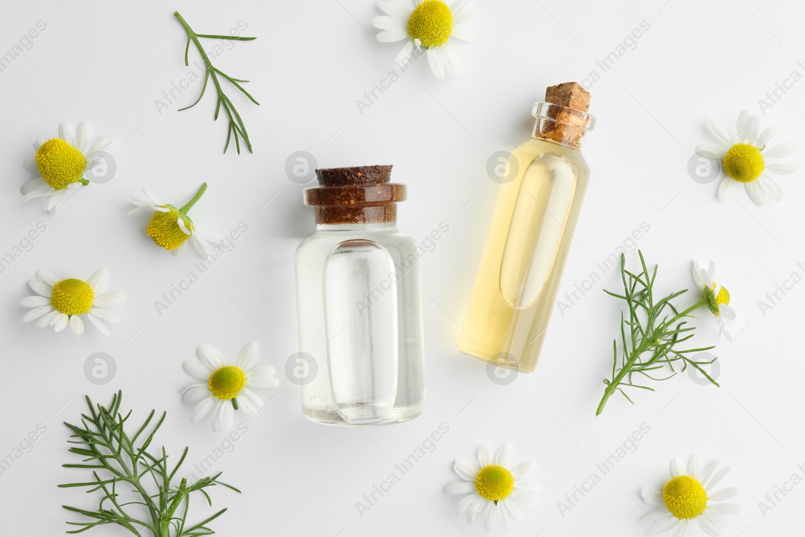 Photo of Aromatherapy. Essential oils and chamomiles on white background, flat lay