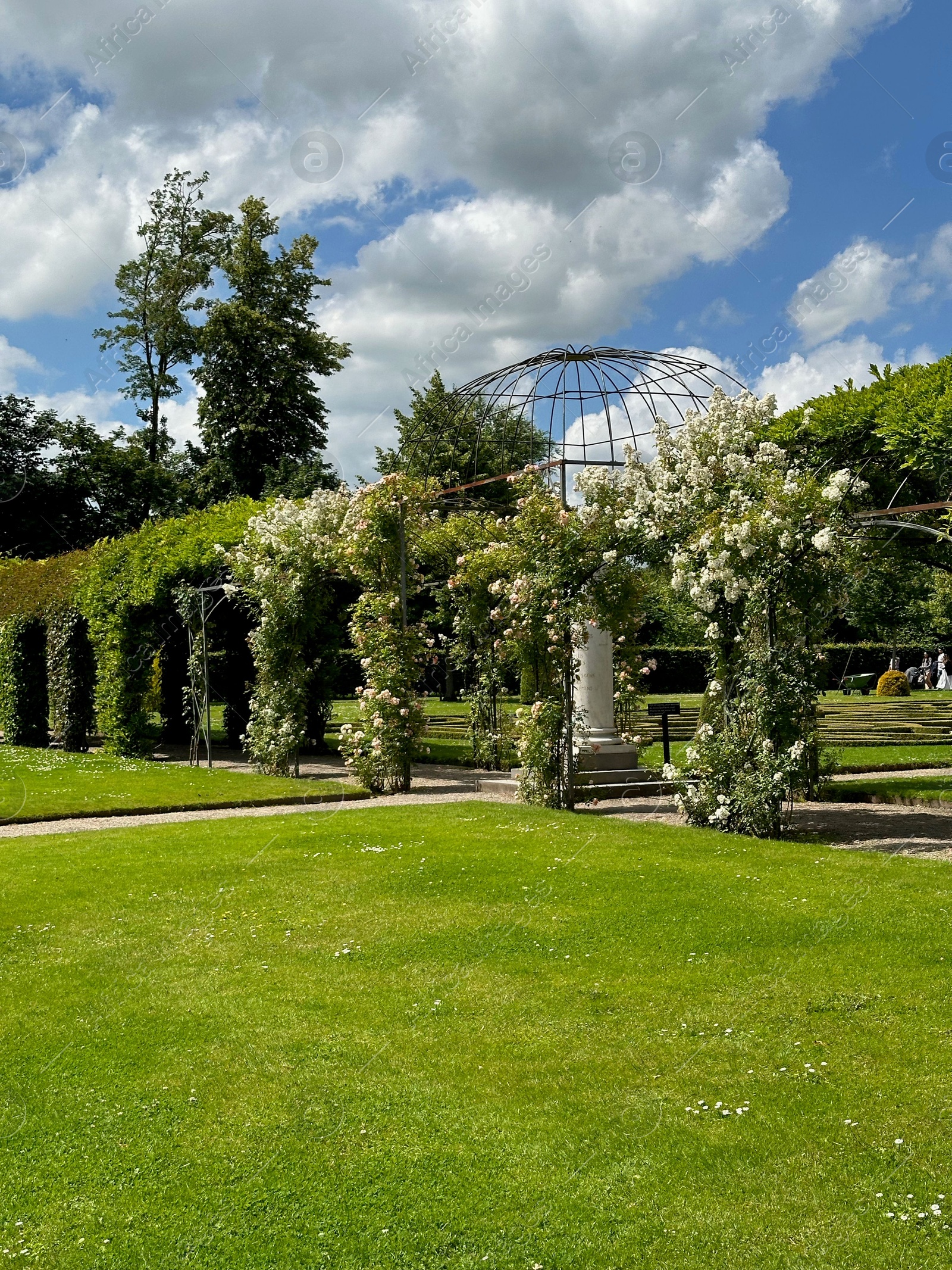 Photo of Tunnels made of plants and green grass in park