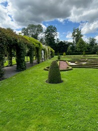 Photo of Green hedge maze and tunnels made of plants in park