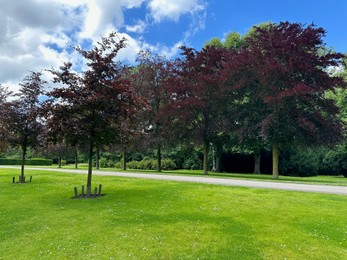 Photo of Beautiful trees and green grass in plant
