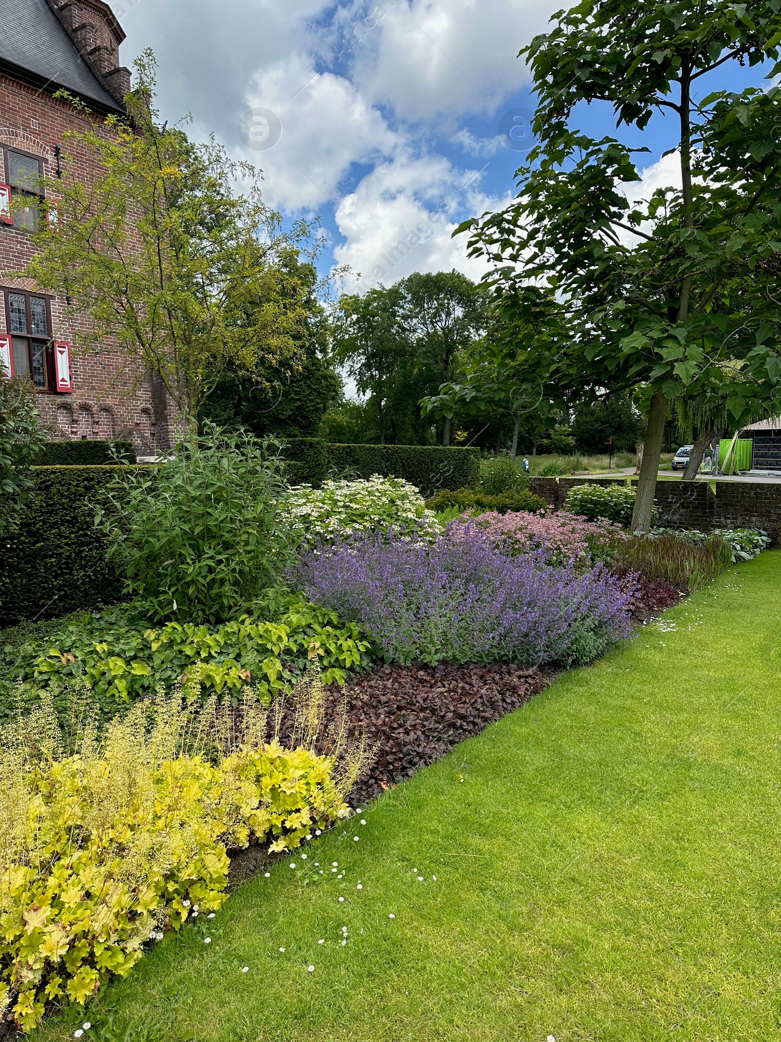 Photo of Beautiful plants and green grass growing outdoors