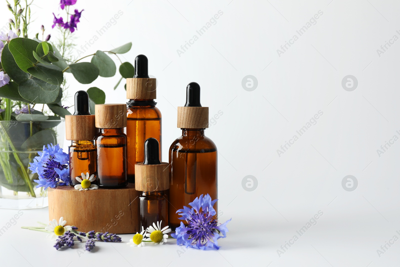 Photo of Aromatherapy. Different essential oils, eucalyptus leaves and flowers on white background, space for text