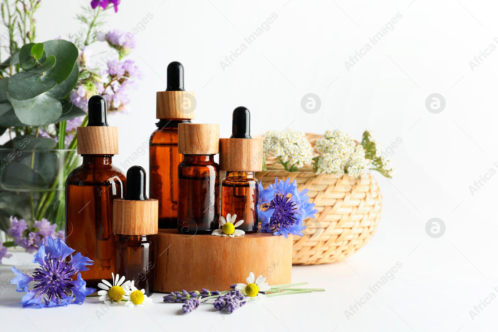 Photo of Aromatherapy. Different essential oils, eucalyptus leaves and flowers on white background