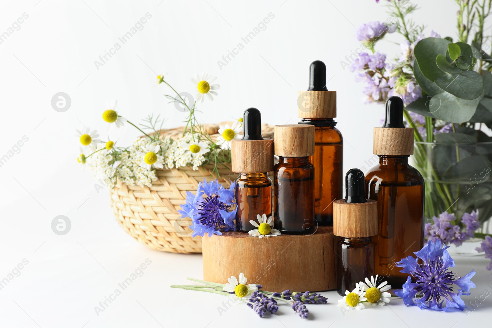 Photo of Aromatherapy. Different essential oils, eucalyptus leaves and flowers on white background