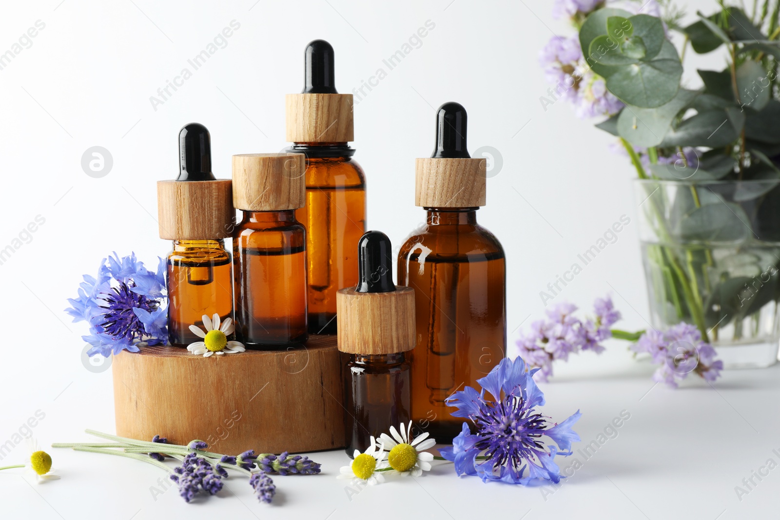 Photo of Aromatherapy. Different essential oils, eucalyptus leaves and flowers on white background