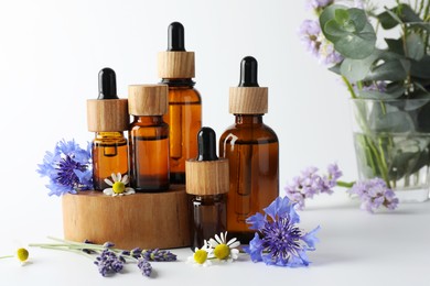 Photo of Aromatherapy. Different essential oils, eucalyptus leaves and flowers on white background