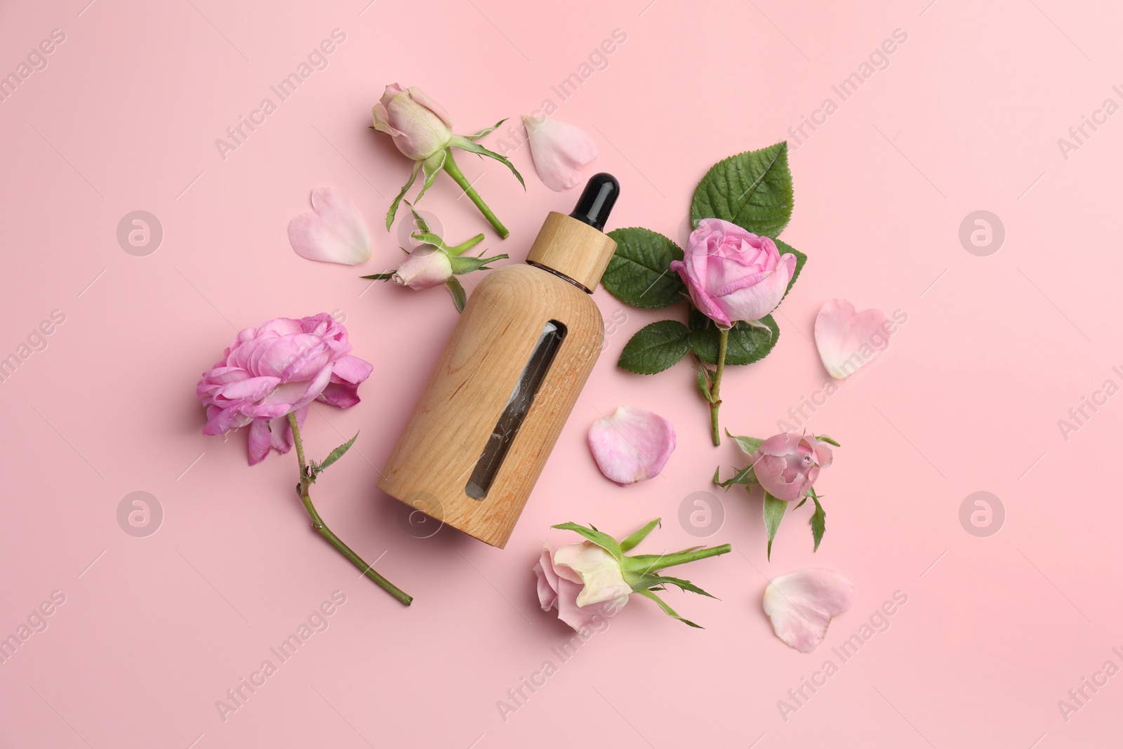 Photo of Aromatherapy. Essential oil, flowers and green leaves on pink background, flat lay