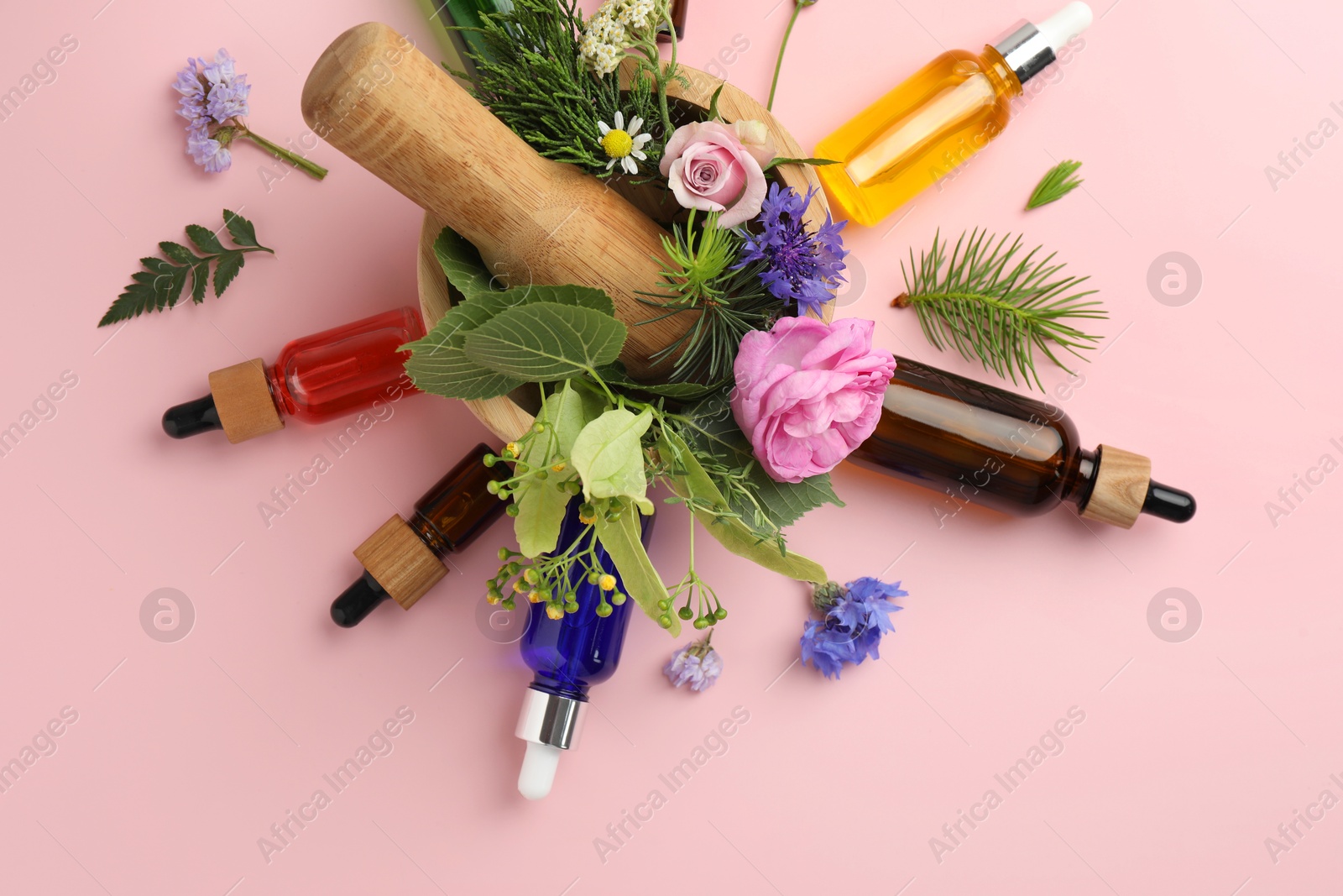 Photo of Aromatherapy. Different essential oils, fir twigs, flowers and green leaves on pink background, flat lay