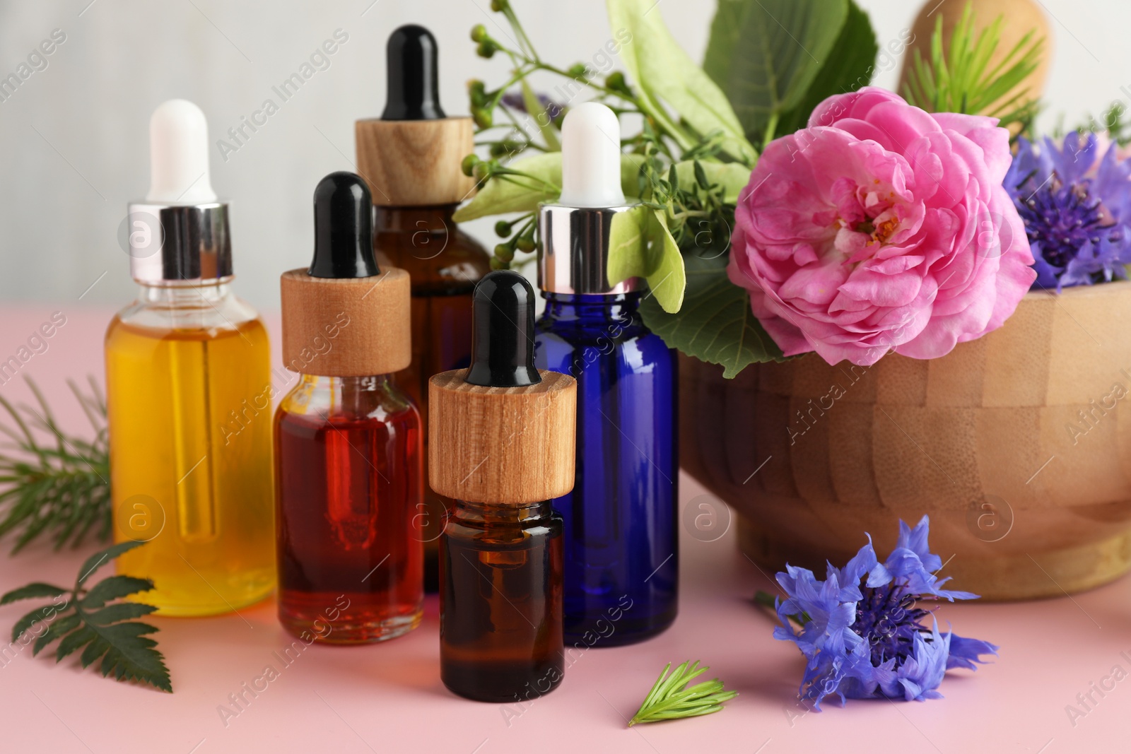 Photo of Aromatherapy. Different essential oils and flowers on pink table