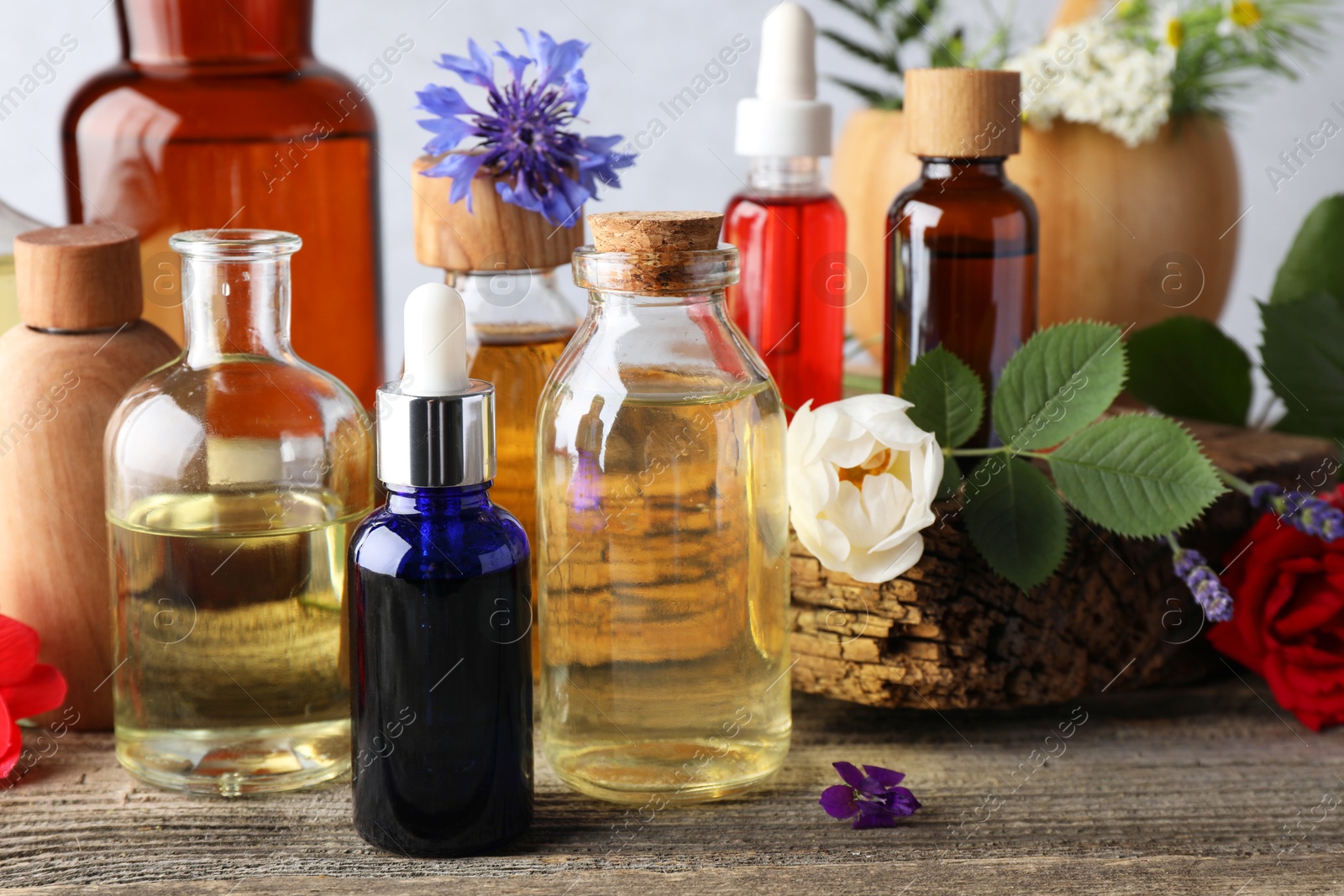 Photo of Aromatherapy. Different essential oils, flowers and green leaves on wooden table