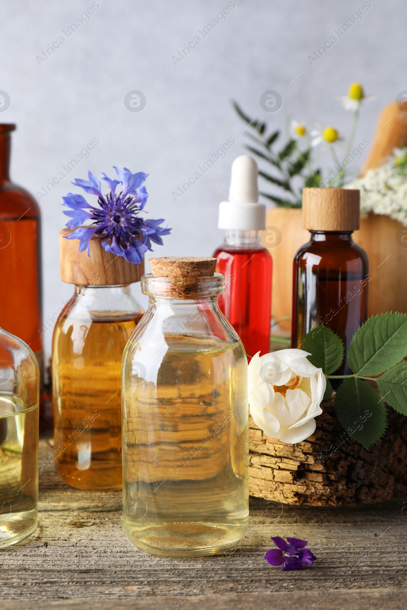 Photo of Aromatherapy. Different essential oils, flowers and green leaves on wooden table